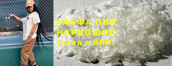PSILOCYBIN Абаза