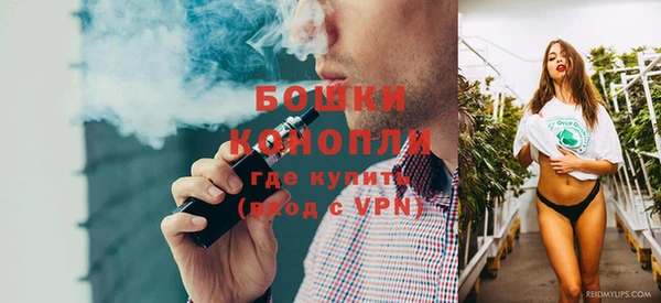 PSILOCYBIN Абаза