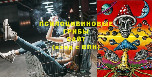 PSILOCYBIN Абаза