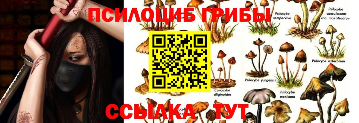 Ковров  купить закладку  Галлюциногенные грибы ЛСД  Вход с VPN  Псилоцибиновые грибы прущие грибы 
